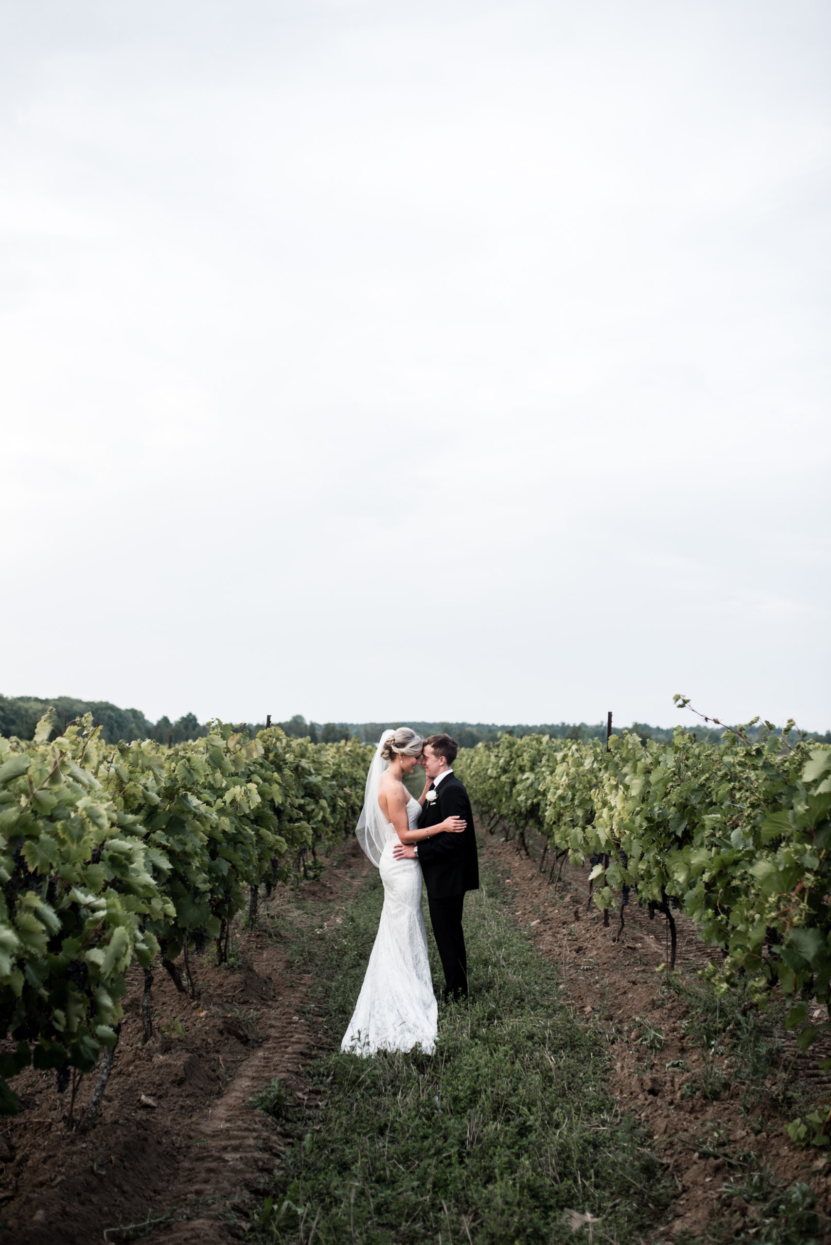 toronto-willow-spring-winery-wedding-photographer-65
