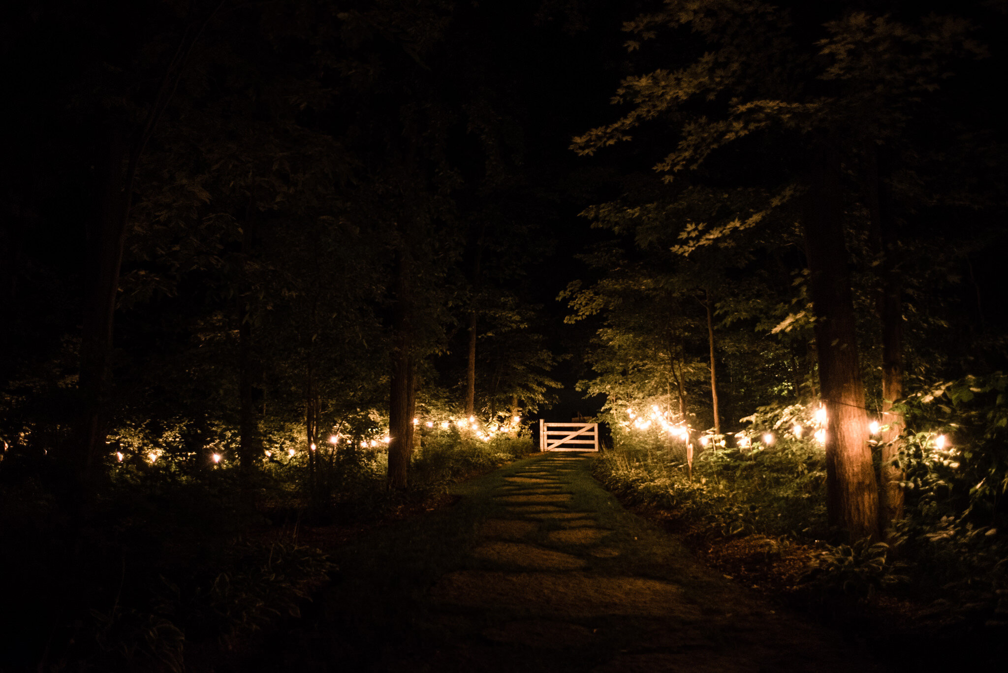 037-string-lights-couple-bride-groom-photos-outdoors-forest-ceremony-ontario-toronto-wedding.jpg